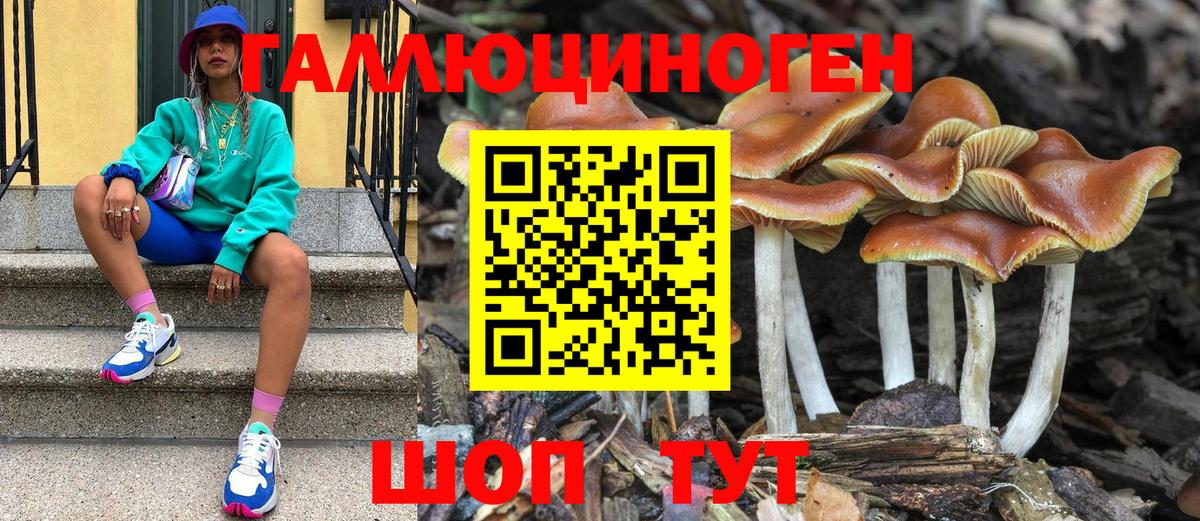 Фурманов  Псилоцибиновые грибы ЛСД  Вход с VPN 