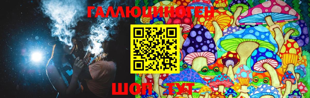 Галлюциногенные грибы Psilocybine cubensis Фурманов